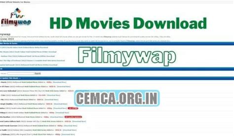 fimywap|FilmyZilla.IN 2024 Bollywood Hindi Movies Filmywap